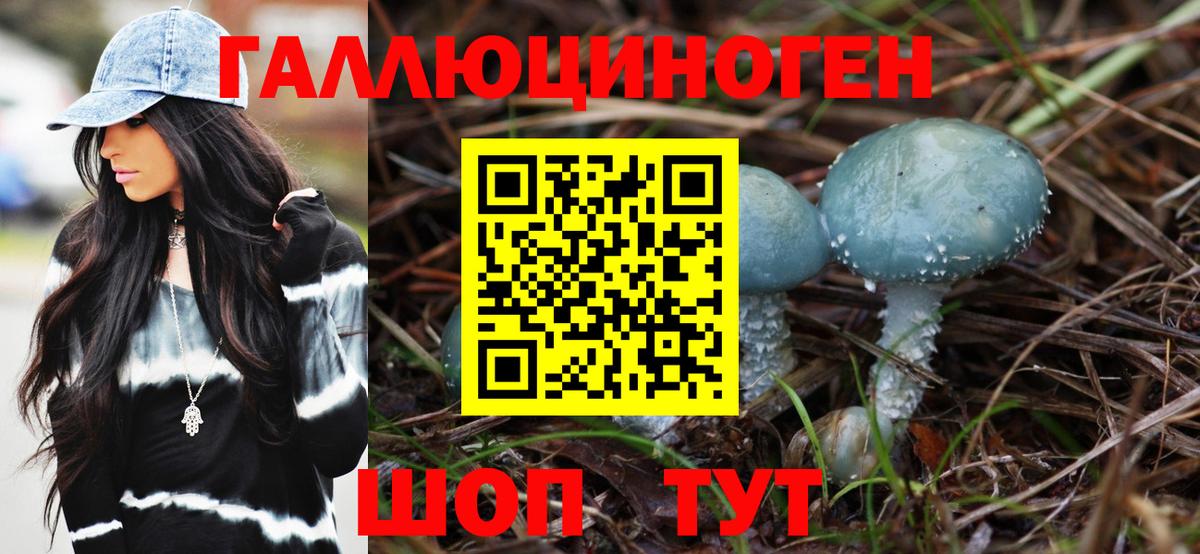 Псилоцибиновые грибы Cubensis  Вход с VPN  Балашиха  Галлюциногенные грибы ЛСД 